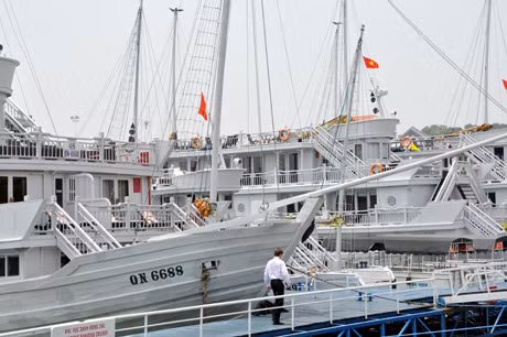 Tàu du lịch tại Cảng tàu du lịch quốc tế Tuần Châu đều có thiết kế hiện đại, đạt tiêu chuẩn quốc tế.
