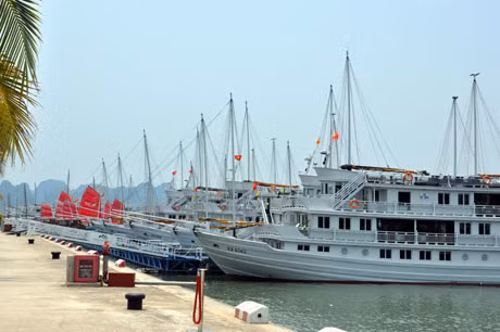 现代、豪华的巡州旅游客运港 ảnh 2