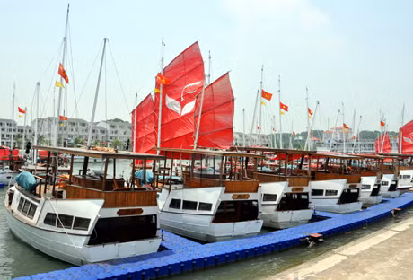 tàu du lịch thăm quan Vịnh Hạ Long neo đậu tại cảng tàu khách Tuần Châu.