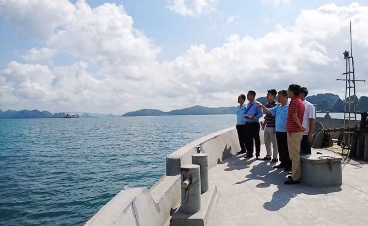 广宁省海关与投资商考察锦普市尼特岛。