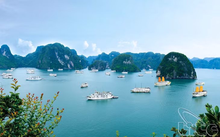 下龙湾一角。（图片来源于互联网）