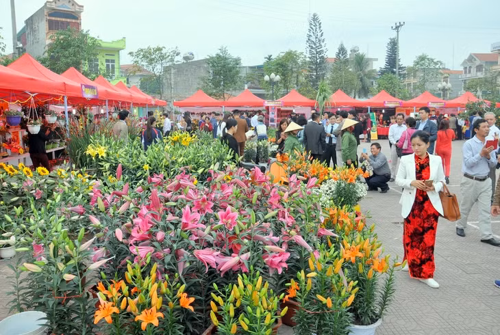 2017年橫菩春节百花会。