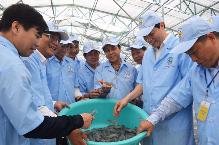 我省工作代表团视察薄辽省越奥集团的虾子养殖中心。