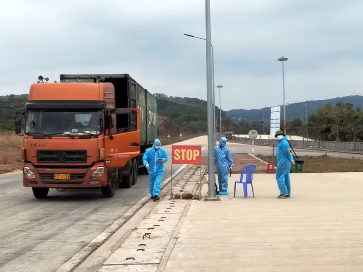 进出口活动担保预防疫情规定。