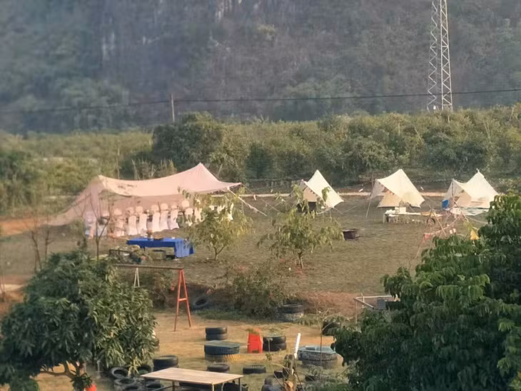 新立村的火龙果种植园。