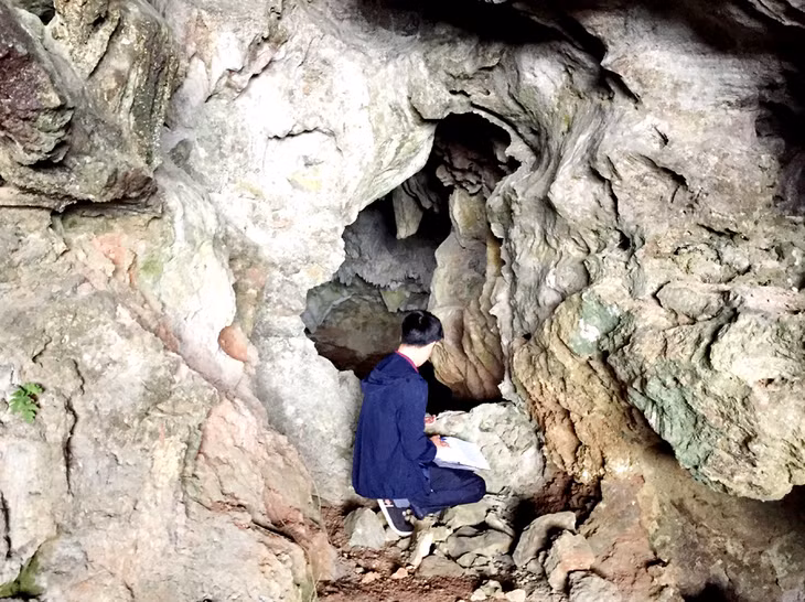花岗洞是新发现的石洞。这座大山里面就有这么壮观的钟乳石洞，却鲜为人知。