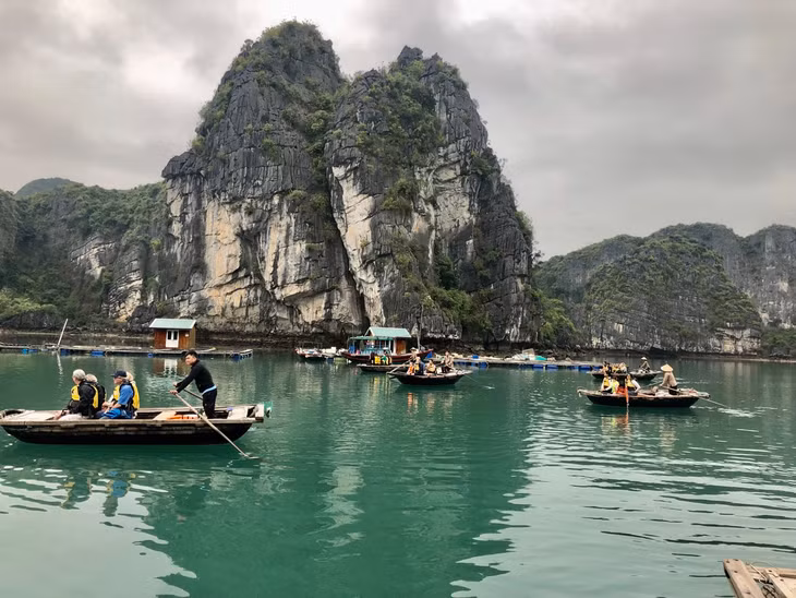渔民参加下龙湾下龙万差合作社的社区生态旅游模式。