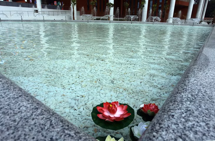 莲花是越南国花，将莲花运用在建筑立面和室内空间，代表两国交流源远流长、友谊长存、世代友好。