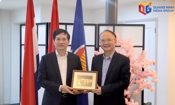 越南广宁推动与荷兰投资合作