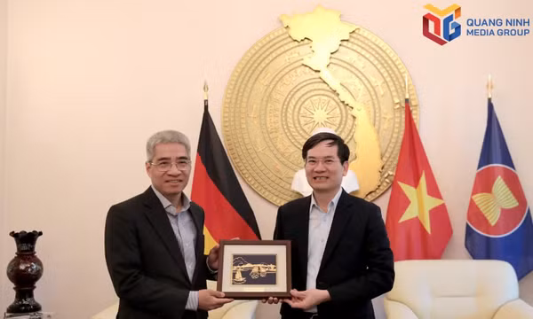 越南广宁市工作代表团访问并与越南驻德国大使馆举行工作会谈