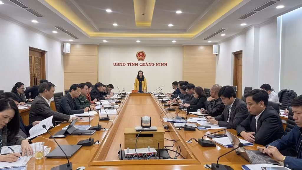广宁省人民委员会副主席阮氏幸主持会议。