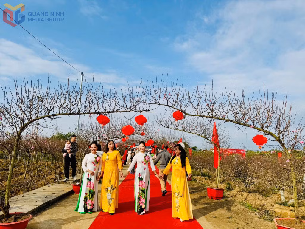游客参观2026年广河乡举办的桃花与盆景展。