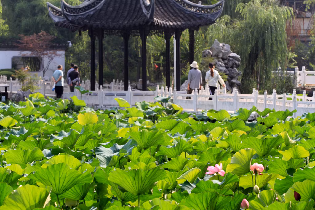 二十四节气：蕴含中国先民智慧的古老历法 ảnh 4