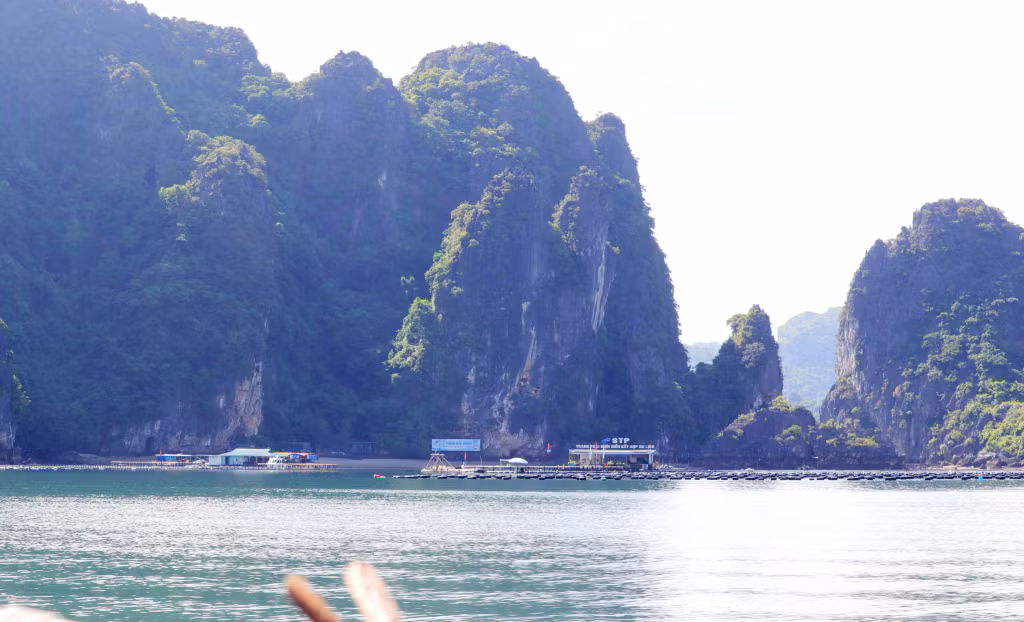 拜子龙海域的优美景观 为旅游路线创造了独具一格的特色。