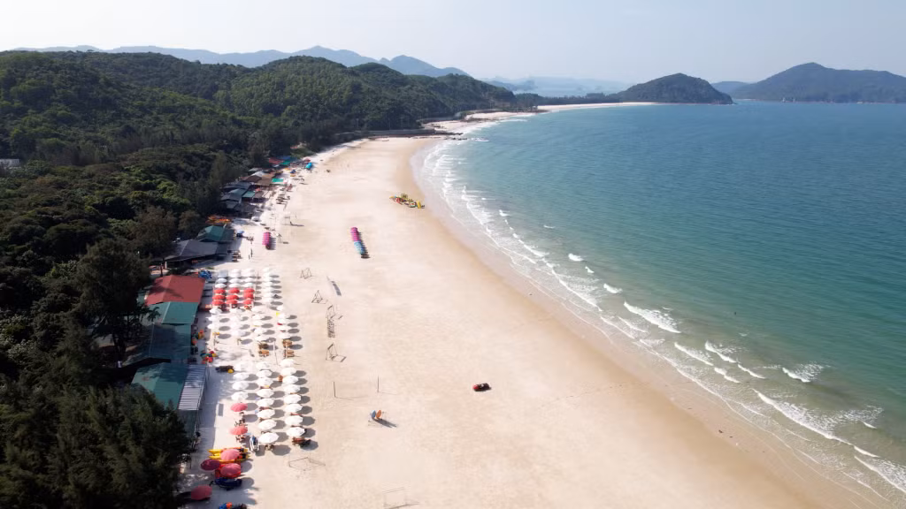 越南明洲岛阎浮古树林环抱章内海滩，紧邻热闹的旅游区 Rừng trâm cổ ôm lấy bãi Chương Nẹp trên đảo Minh Châu Việt Nam nằm sát khu du lịch sầm uất