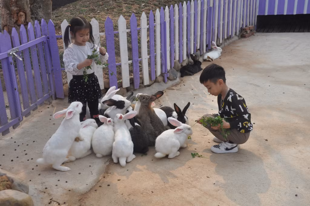 广宁旅游业成效显著亮点纷呈 ảnh 1