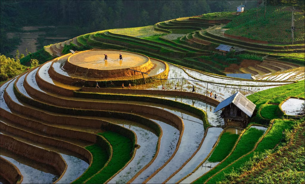 越南北中南三地风景优美的森林和湖泊 ảnh 14