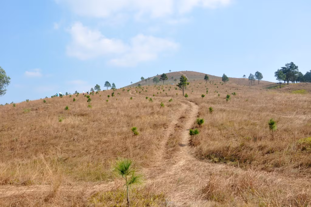 体验式旅游有望在年底吸引大量游客。 （汪秘市凤凰山峰的图片）