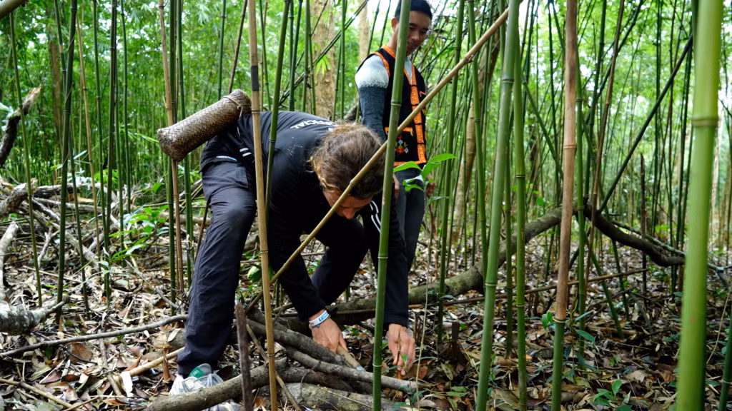 Cameroon 副船长在森林里体验竹笋采摘乐趣。