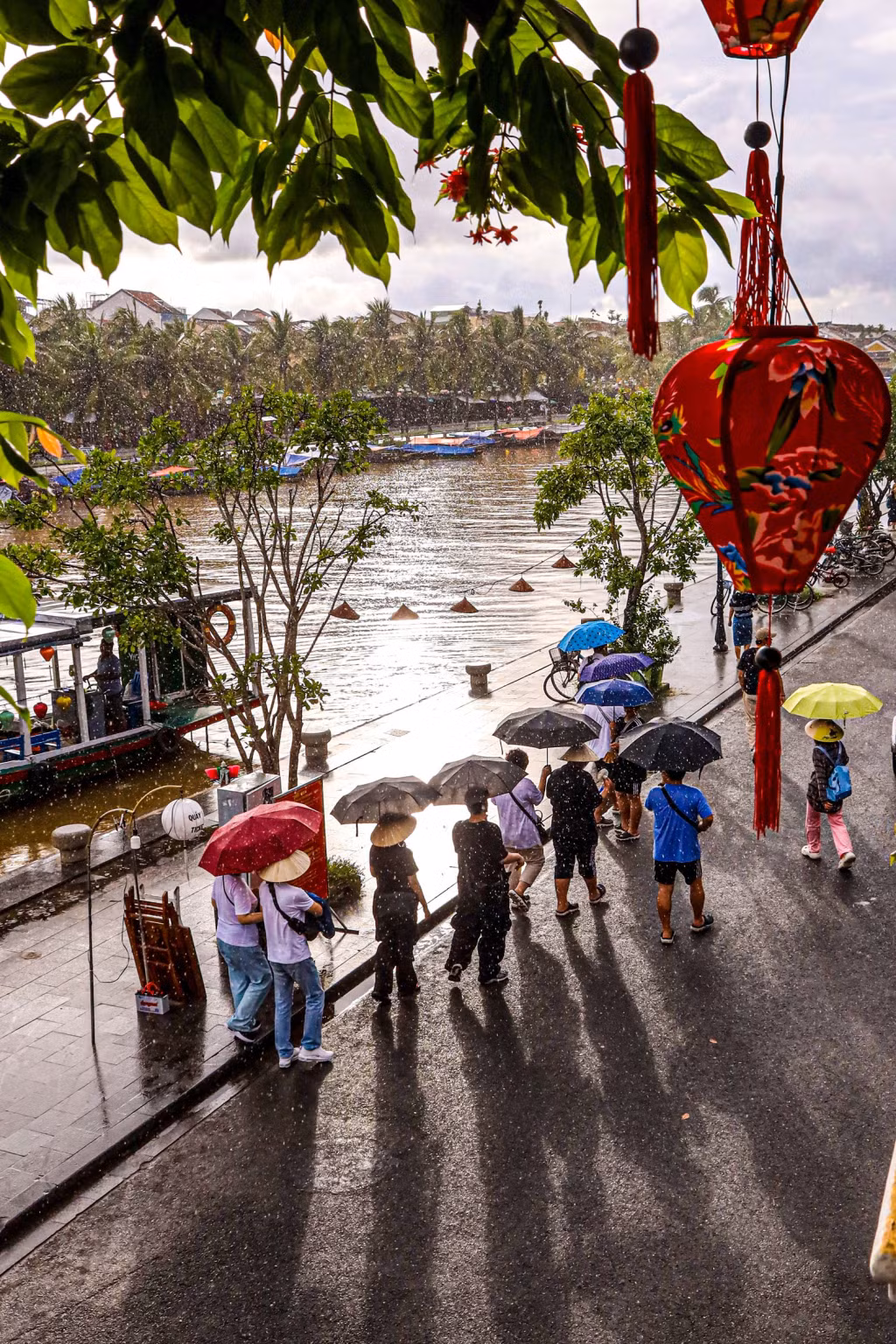 2023年11月上旬，在一场突如其来的太阳雨中，越南会安古城的游客享受到了特别而难得的时光。 Đến với phố cổ Hội An vào những ngày đầu tháng 11/2023, du khách có thể tận hưởng những khoảnh khắc đặc biệt, hiếm có được tạo ra bởi những cơn mưa bất chợt đổ xuống trong khi trời vẫn nắng.