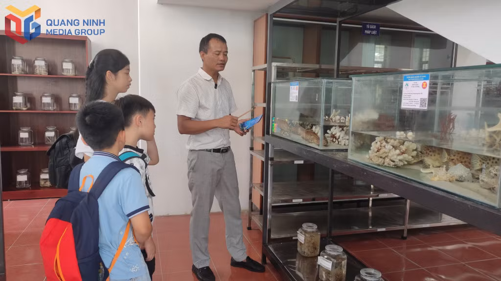 海洋生物展示区。