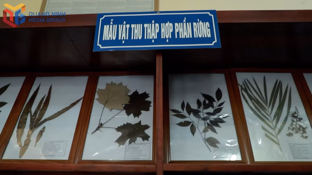 森林生物展示区现有近400件森林生物标本。