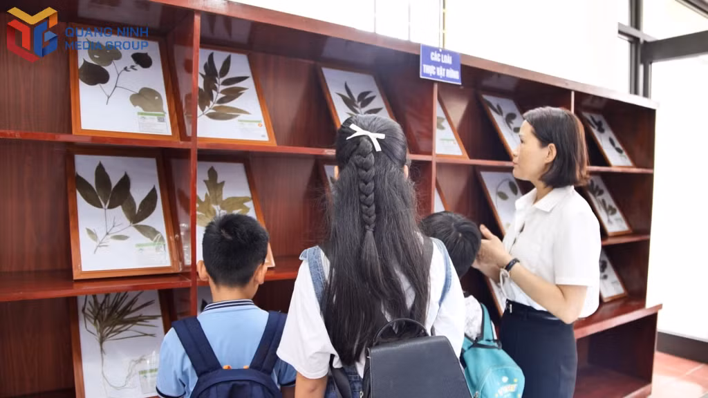 博物馆展示空间分为森林生物和海洋生物等两个区域。