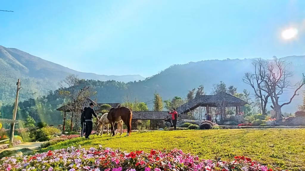 广宁省著名的山地田园风光度假与体验旅游目的地——平辽农家乐。 Bình Liêu farmstay, một địa điểm du lịch nổi tiếng về nghỉ dưỡng và trải nghiệm cảnh quan nông thôn miền núi của tỉnh Quảng Ninh.
