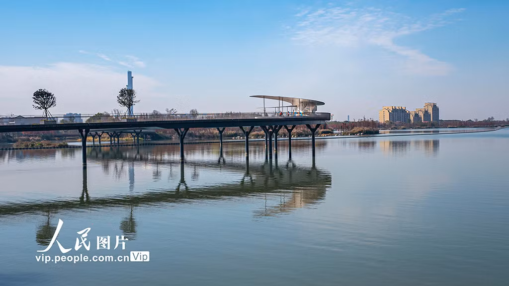 上海：元荡慢行桥成热门打卡地 ảnh 2