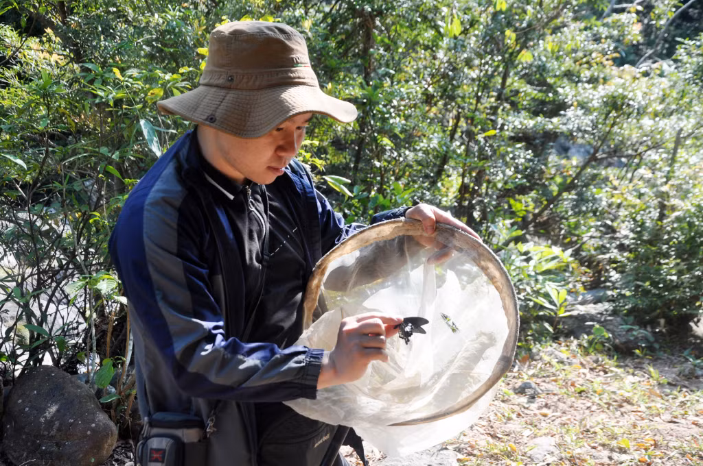 越南科学院生态所专家在同山—琪上国家级自然保护区采集蝴蝶样本。