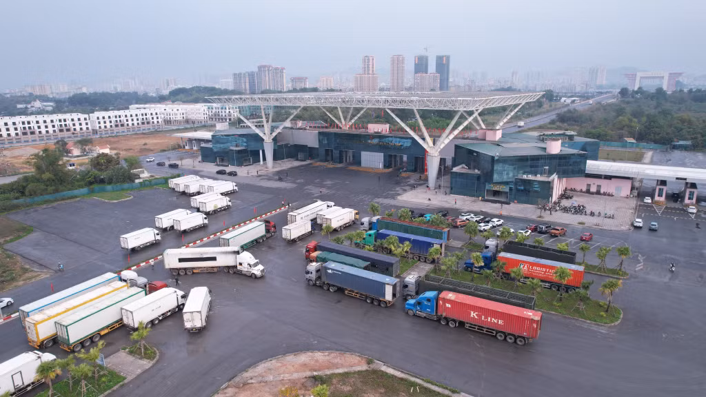 北仑二号口岸两日进出口货物达3600吨 ảnh 1