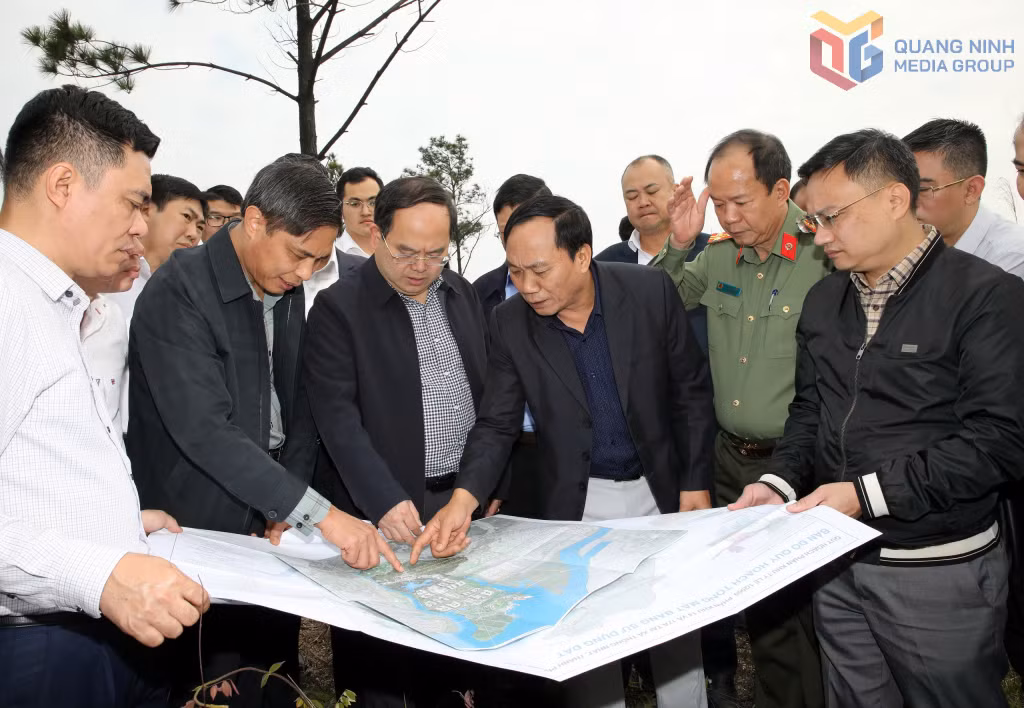 越共中央委员、省委书记、省国会代表代表团团长关明强与省工作组一起考察了计划建设新省行政中心的地区。