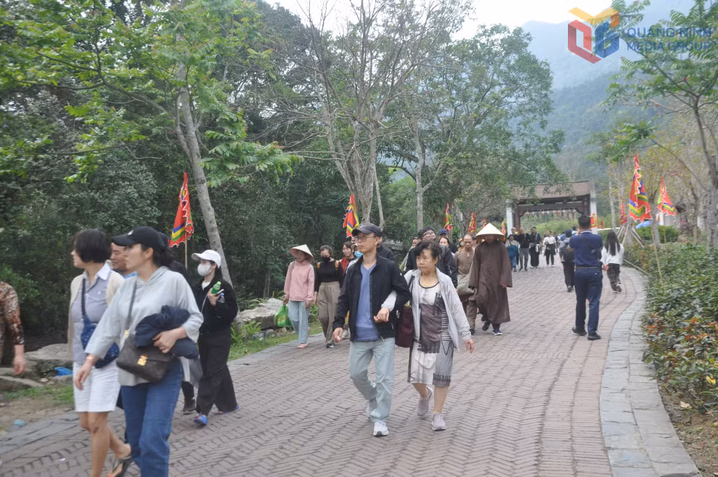 安子之春不仅吸引全国各地的国内游客，还吸引大量来自韩国、欧洲、美国、印度等地的国际游客。