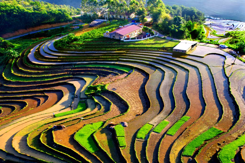 家乡的美景。图：武诚