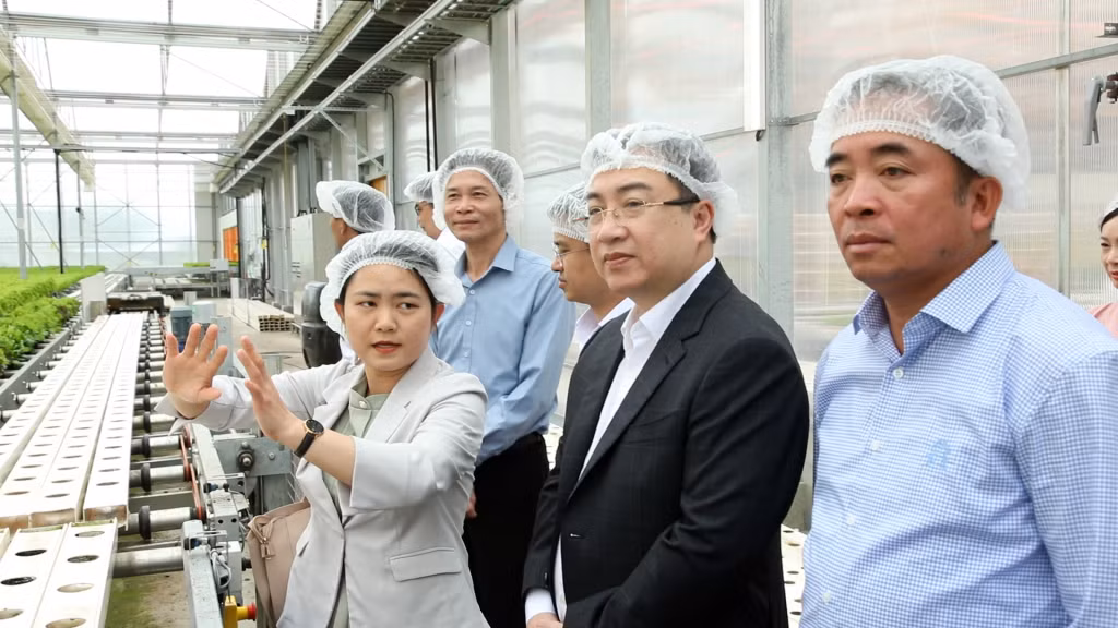 广宁省工作代表团对北海道Ad One Farm股份公司的高科技农场进行考察。