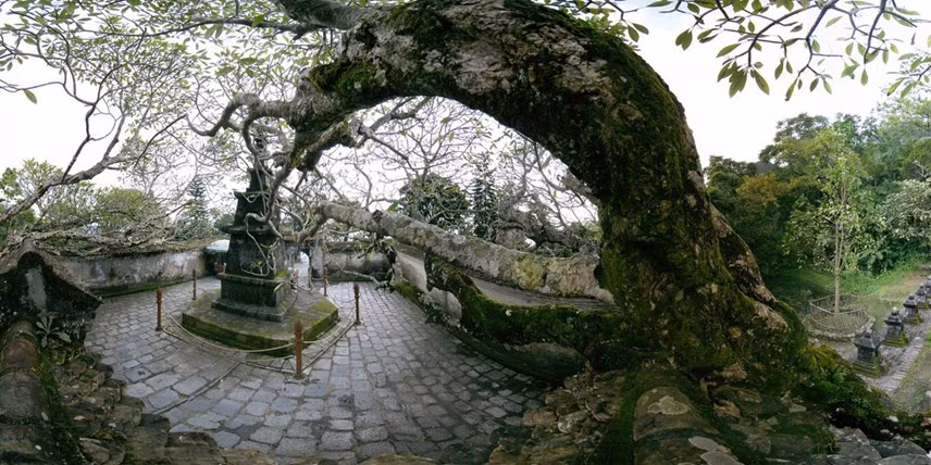 本次图片展展示了杜庆江摄影师精心挑选的120张图片。