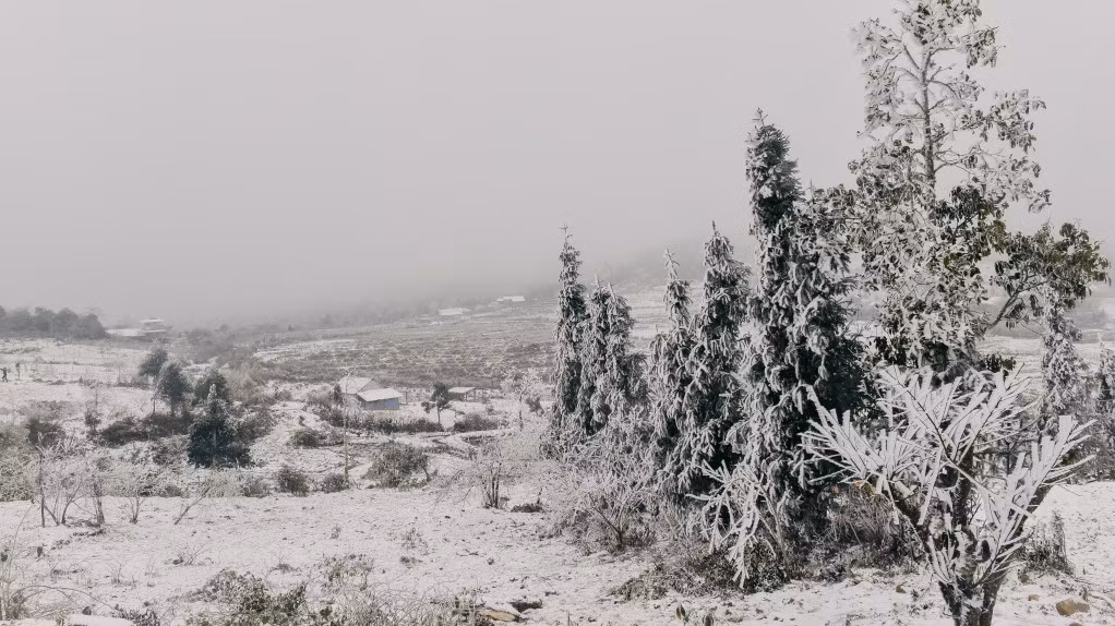 梁山的雪花美景 ảnh 2