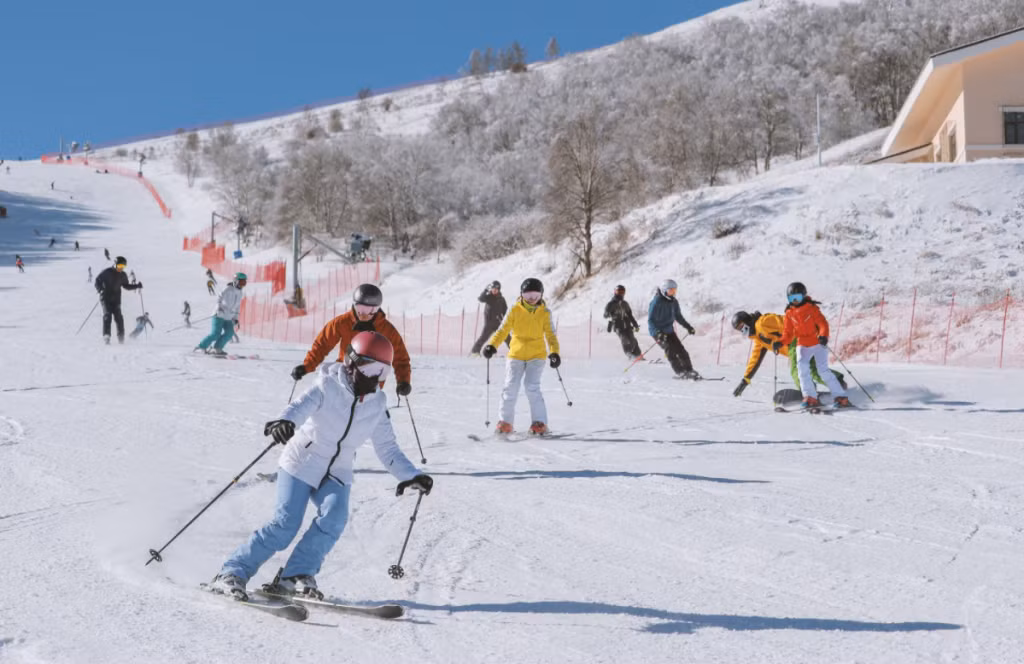 春节8省旅游收入超百亿 冬奥让冰雪游异常火爆 ảnh 1