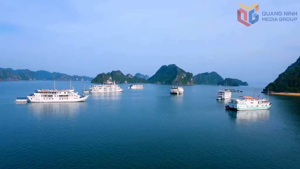 下龙湾参观及游船过夜旅游继续成为吸引国际游客的亮点。
