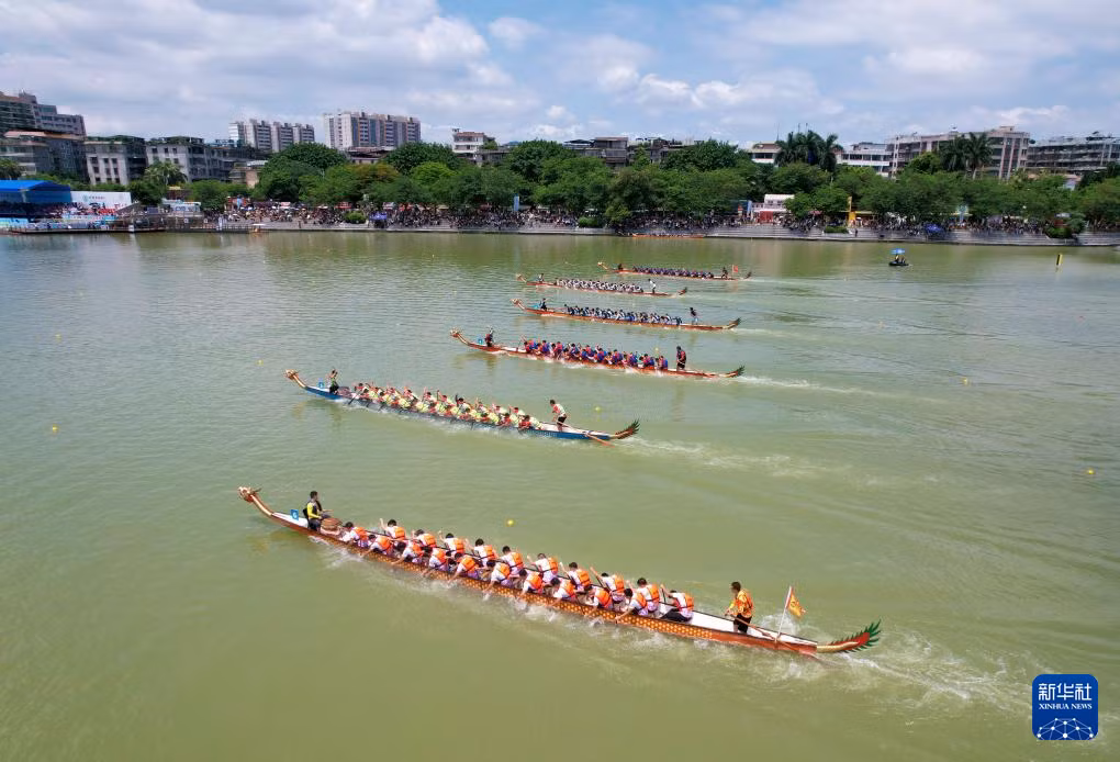 来自粤港澳大湾区的龙舟选手在广东肇庆星湖上竞渡（无人机照片）。刘春林 摄 Các tay đua thuyền rồng đến từ Khu Vịnh lớn Quảng Đông - Hồng Kông - Macao đang đua thuyền rồng trên hồ Tinh Hồ, Triệu Khánh, Quảng Đông (ảnh chụp từ máy bay không người lái). Ảnh: Lưu Xuân Lâm