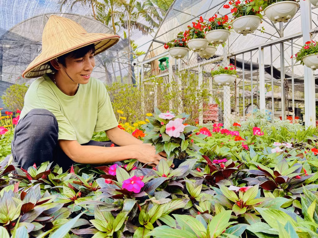 诸多花农透露，今年花卉质量优质、价格合适。