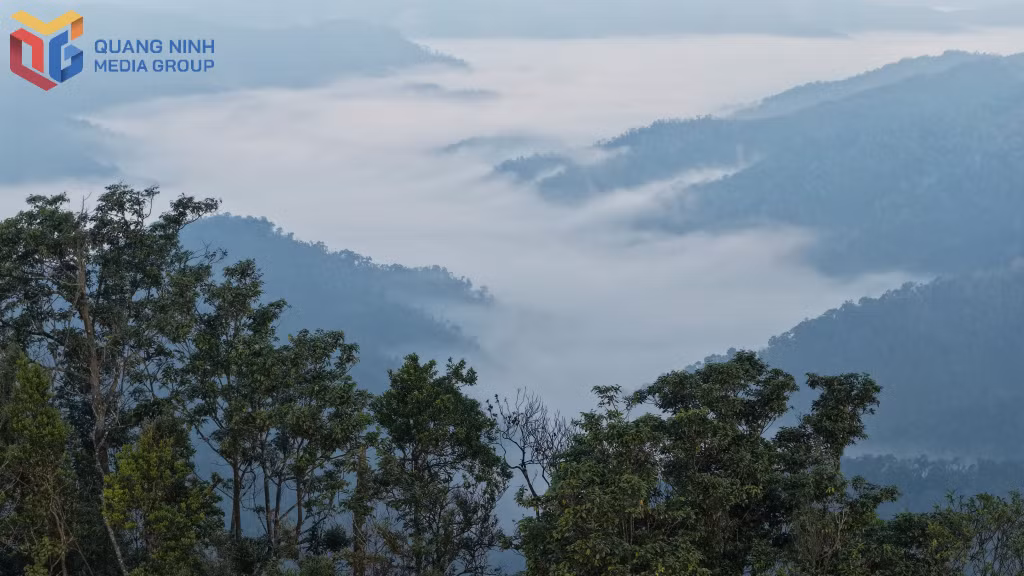 云雾在深谷间穿行，汇聚成一条波光粼粼、随风飘荡的白色长河。