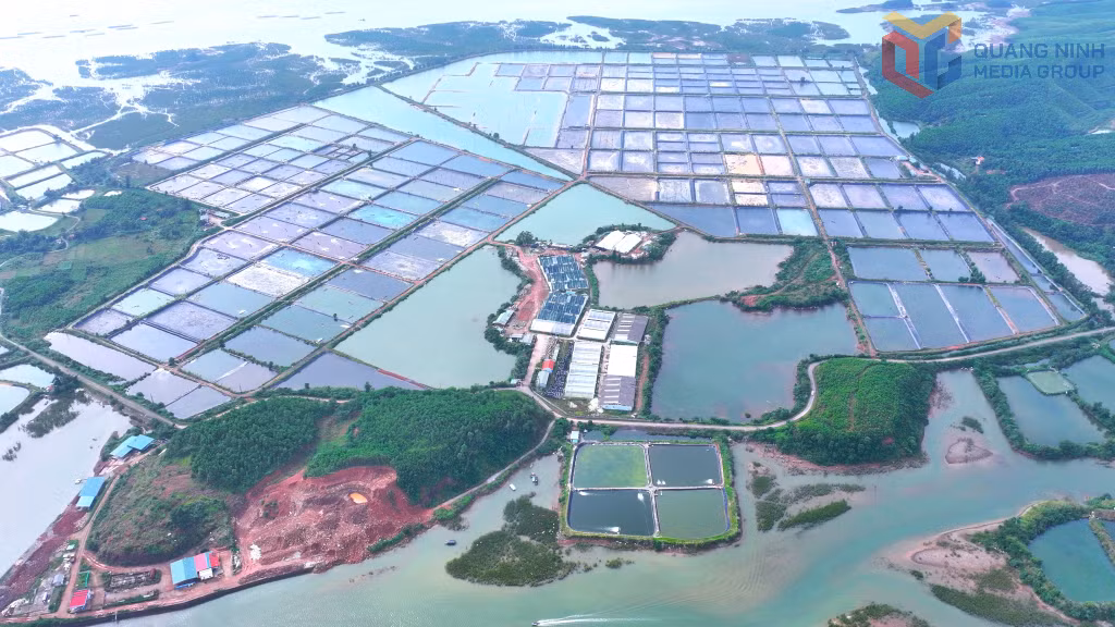 工业化水产种苗繁育与养殖中心与谭河100兆瓦太阳能发电厂相结合的项目