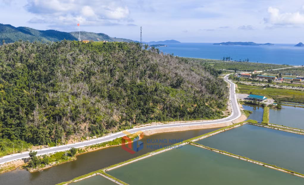 岛上的沿海公路蜿蜒穿过大自然，旁边是水产养殖池塘，为当地经济发展做出贡献。