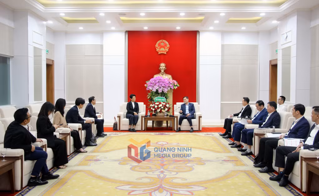 广宁省人委会会见安美德集团 ảnh 1