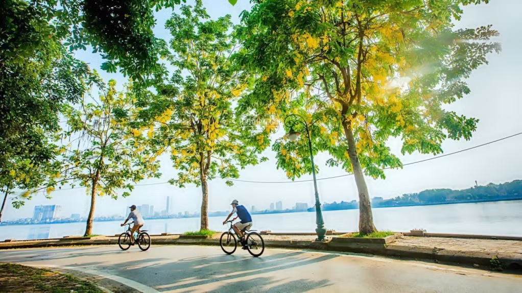 西湖是河内骑行爱好者的热崇之地 Hồ Tây là địa điểm yêu thích của nhiều người mê đạp xe ở Hà Nội
