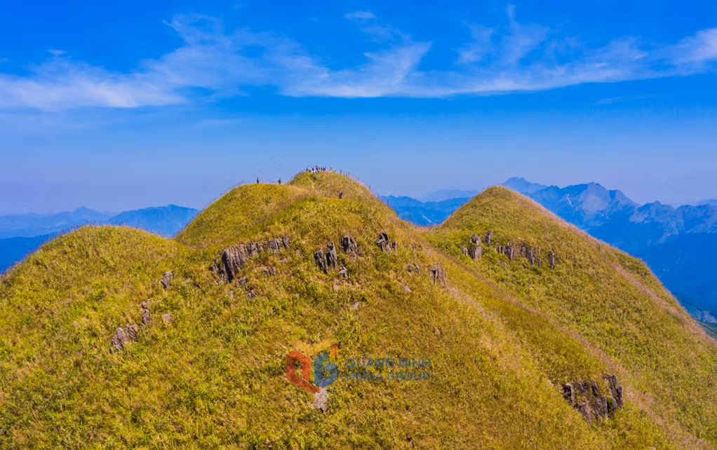 为边境地区的山林增添了美丽。