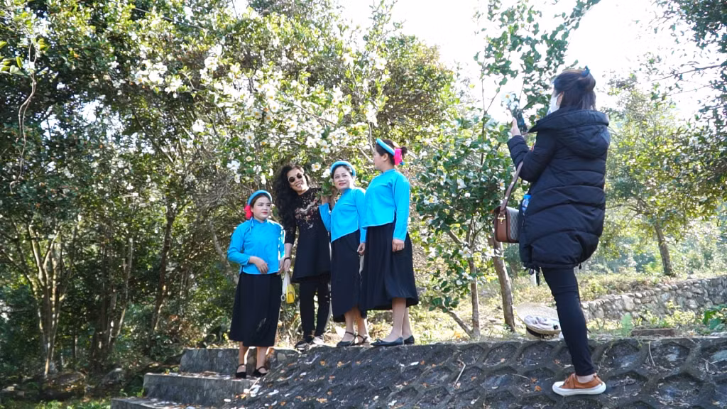 游客与当地居民木油花林合照。