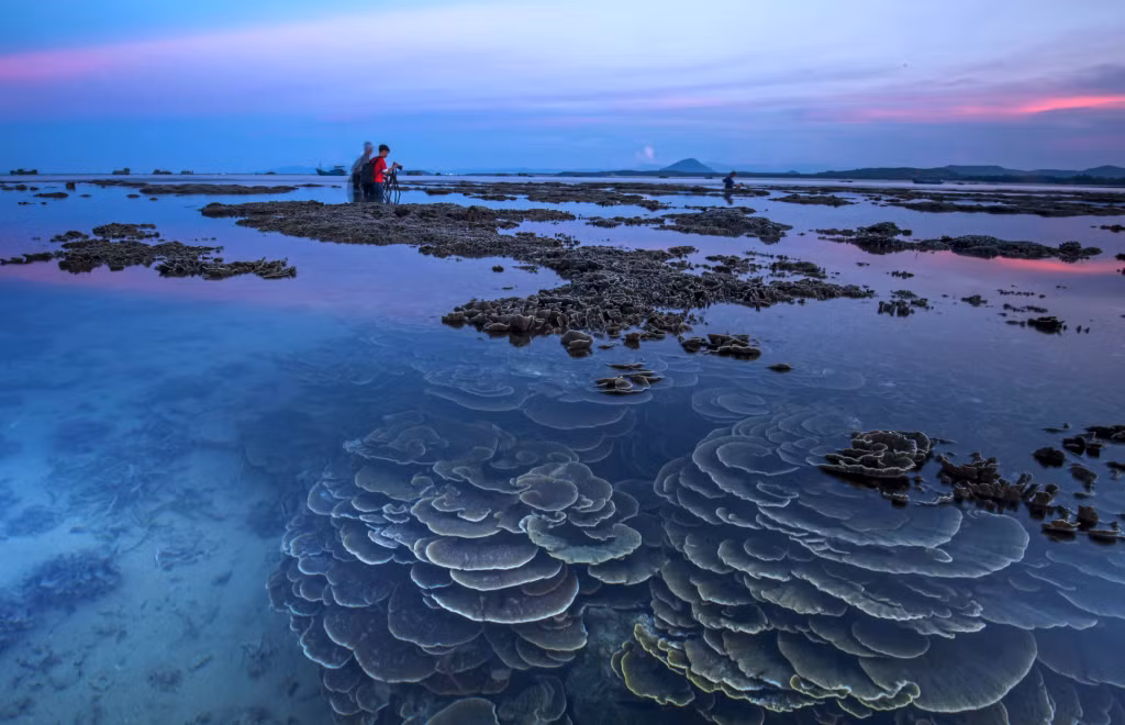 珊瑚季节里富安省燕岛上的日落 Hoàng hôn Hòn Yến, Phú Yên mùa san hô.