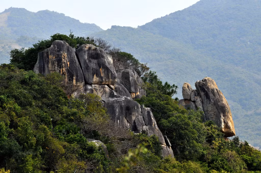 主山——世界新生物圈保护区 ảnh 9